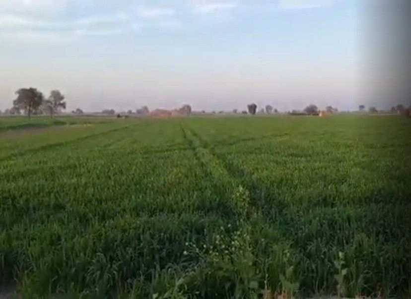 Hapur Bypass Rd, Dhir Khera, Uttar Pradesh, India