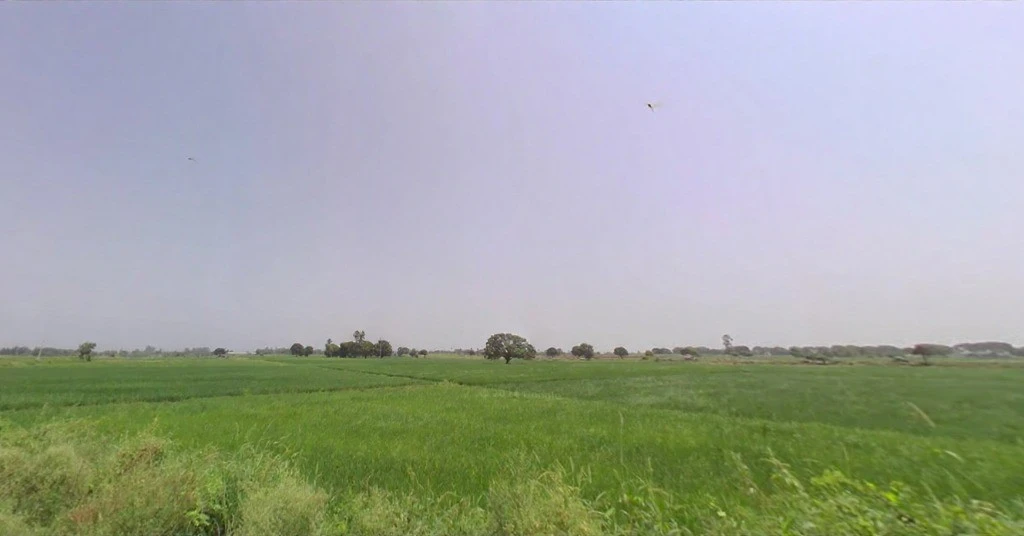 Dikadla, Haryana, India