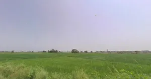 Dikadla, Haryana, India preview 2