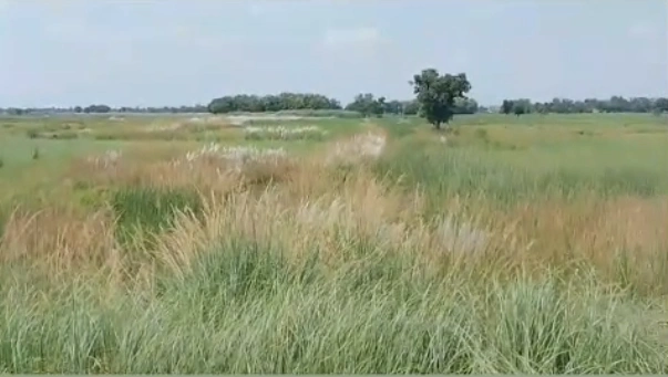 Karchana, Uttar Pradesh 212301, India preview 2