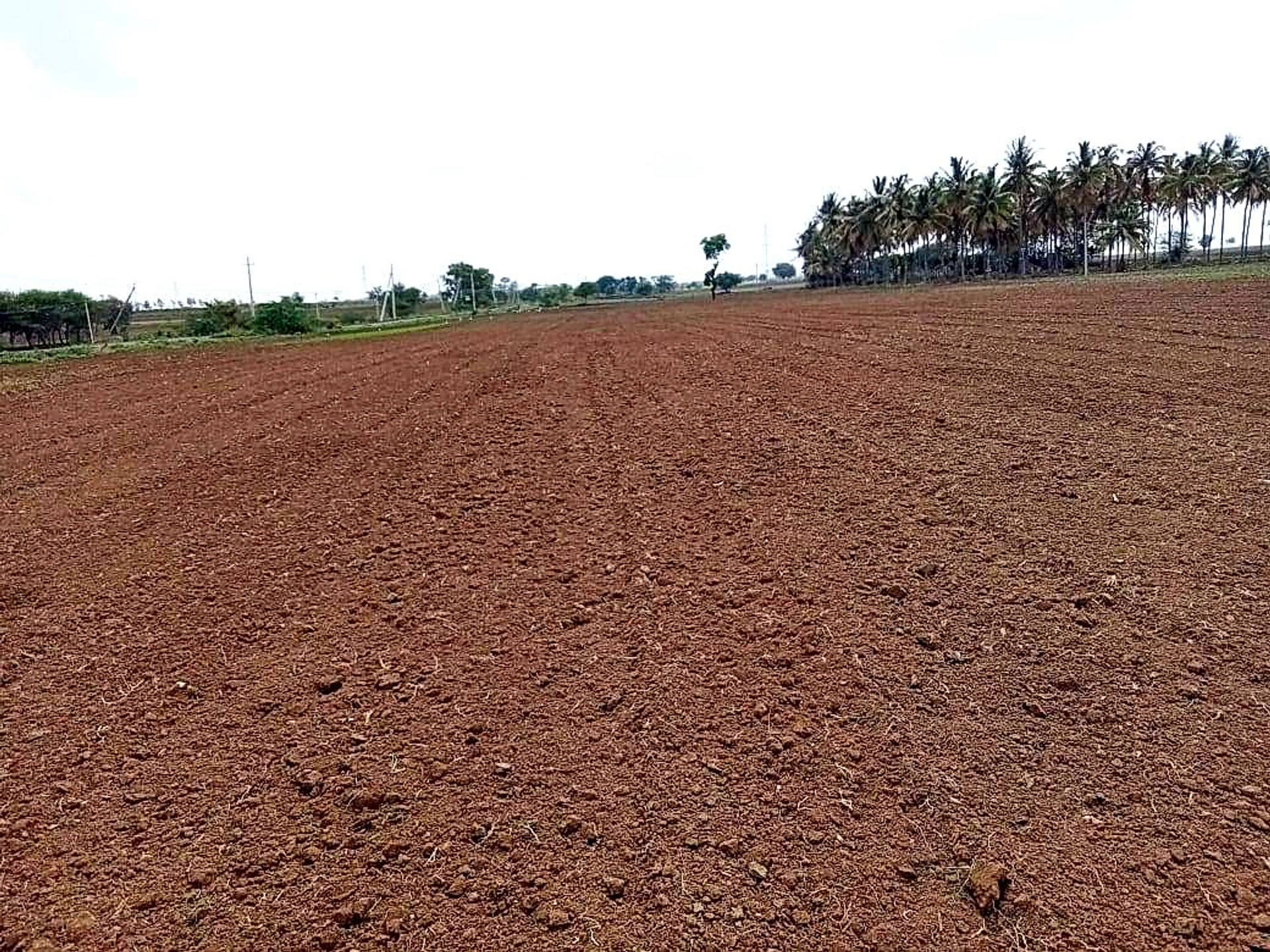 X75P+32Q, Mannur, Karnataka 581205, India