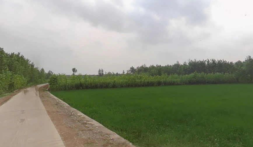 Chilkana Sultanpur, Uttar Pradesh 247231, India