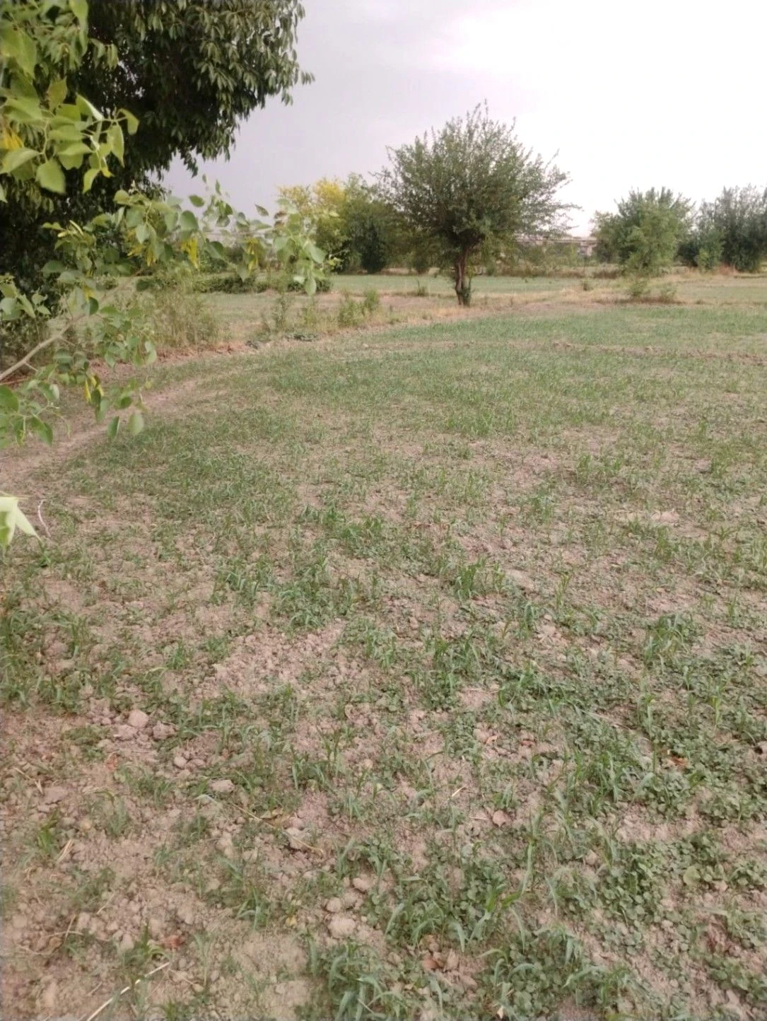 Chhabila Pur, Bihar 803116, India