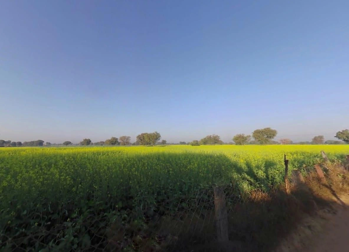 Nahariya ka bass, PV64+J4X, Jai Anandpura, Rajasthan 303903, India preview 3