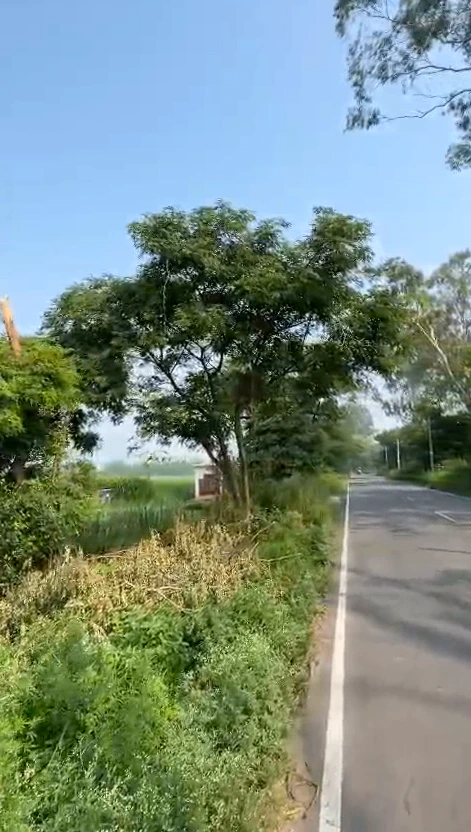 666J+FC2, Chandpur - Bijnor Rd, Ravati, Uttar Pradesh 246725, India