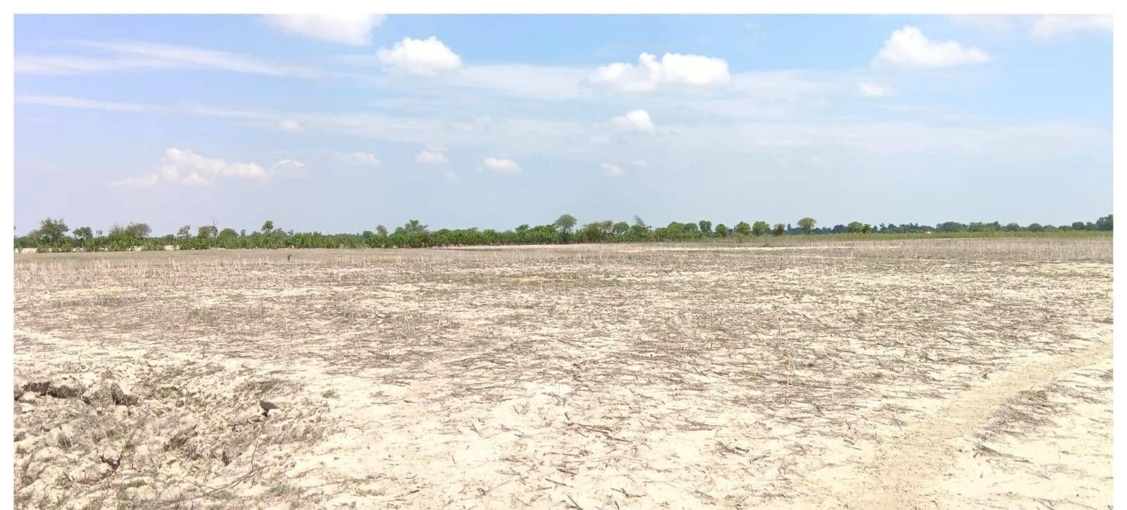 P52H+R6 Birauli, Uttar Pradesh, India