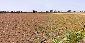 Hasanpur, Uttar Pradesh 244241, India preview 3