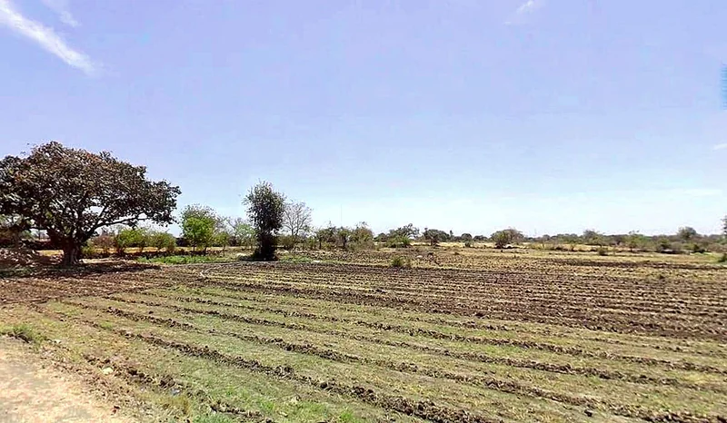 CMVW+CRM, Chorwasa, Madhya Pradesh 456443, India preview 3