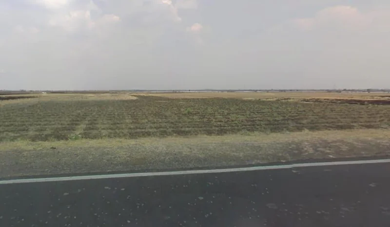 FFFW+P2G, Borkheda Pitramal, Madhya Pradesh 456335, India preview 2