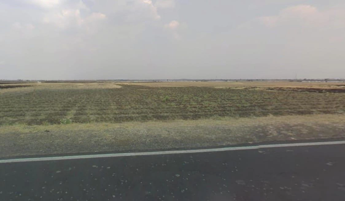 FFFW+P2G, Borkheda Pitramal, Madhya Pradesh 456335, India