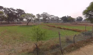 Jondhra, Chhattisgarh, India preview 3