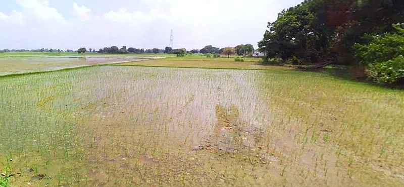 Purulia, West Bengal, India preview 2