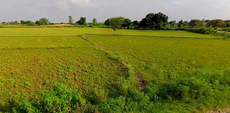 Chandla, Madhya Pradesh 471525, India preview 3