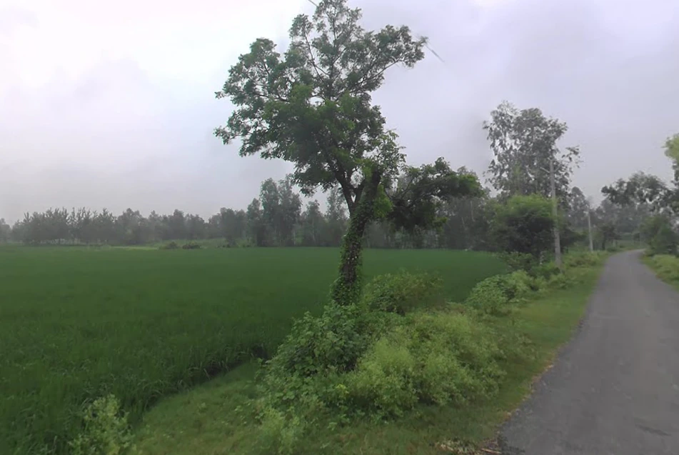 Mirganj, Uttar Pradesh 243504, India