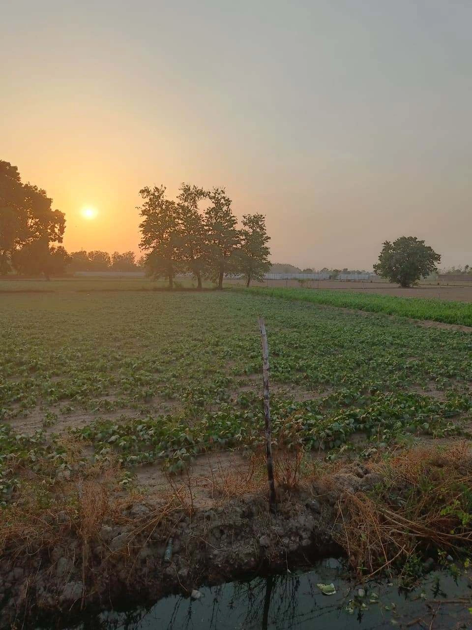 Chandauri, Uttar Pradesh, India