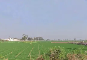WRXX+X4J, Ujjain - Indore Rd, Kajlana, Lakhman Khedi, Madhya Pradesh 453551, India preview 2