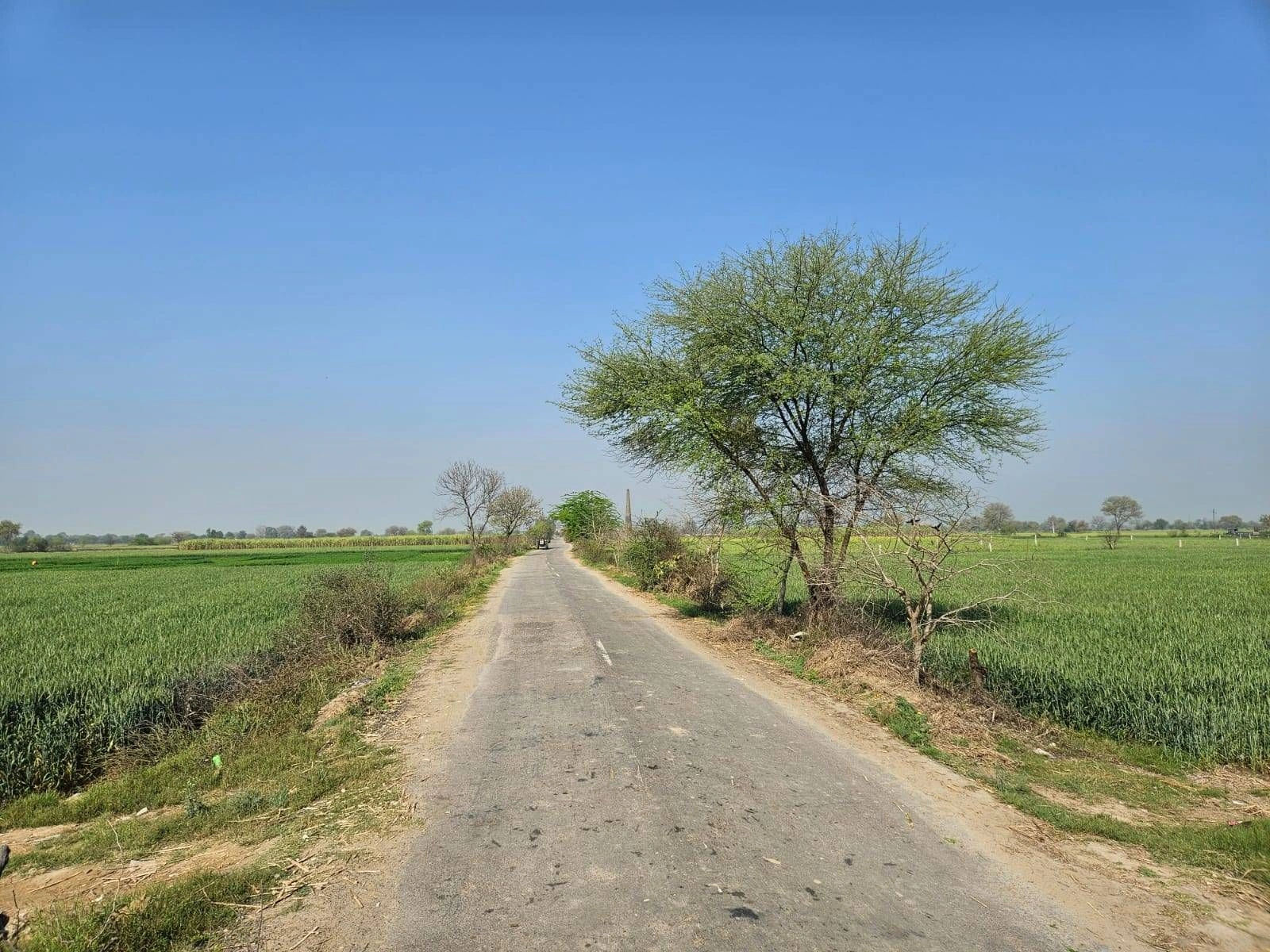 Chimni, Haryana 124412, India preview 5