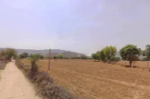 Hameerpur, Rajasthan, India preview 3