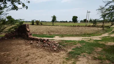 Barnagar, Madhya Pradesh 456771, India preview 7