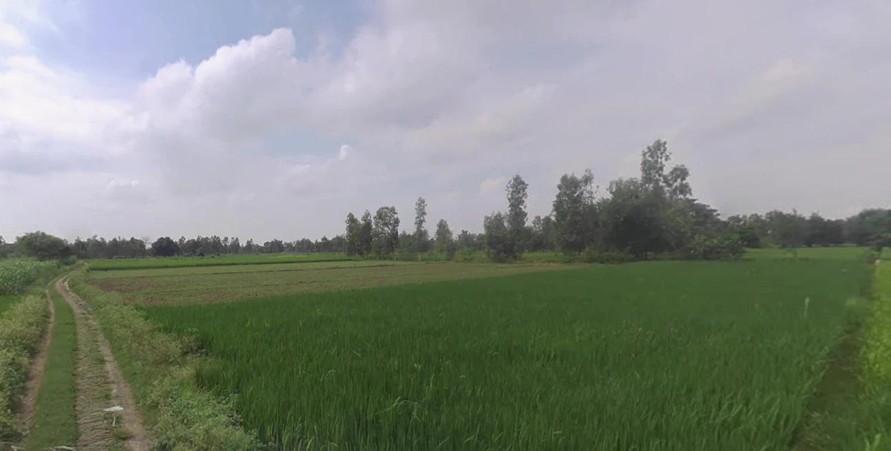 Budaun, Uttar Pradesh 243601, India