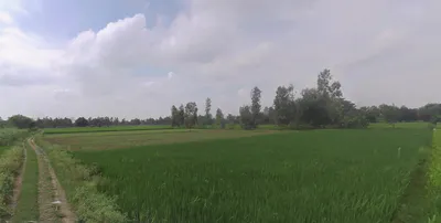 Budaun, Uttar Pradesh 243601, India preview 2
