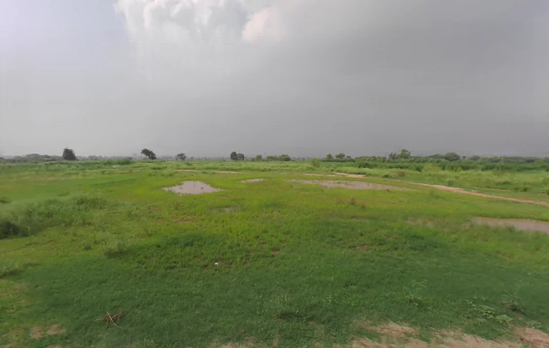 Boonga, Haryana 134118, India preview 3