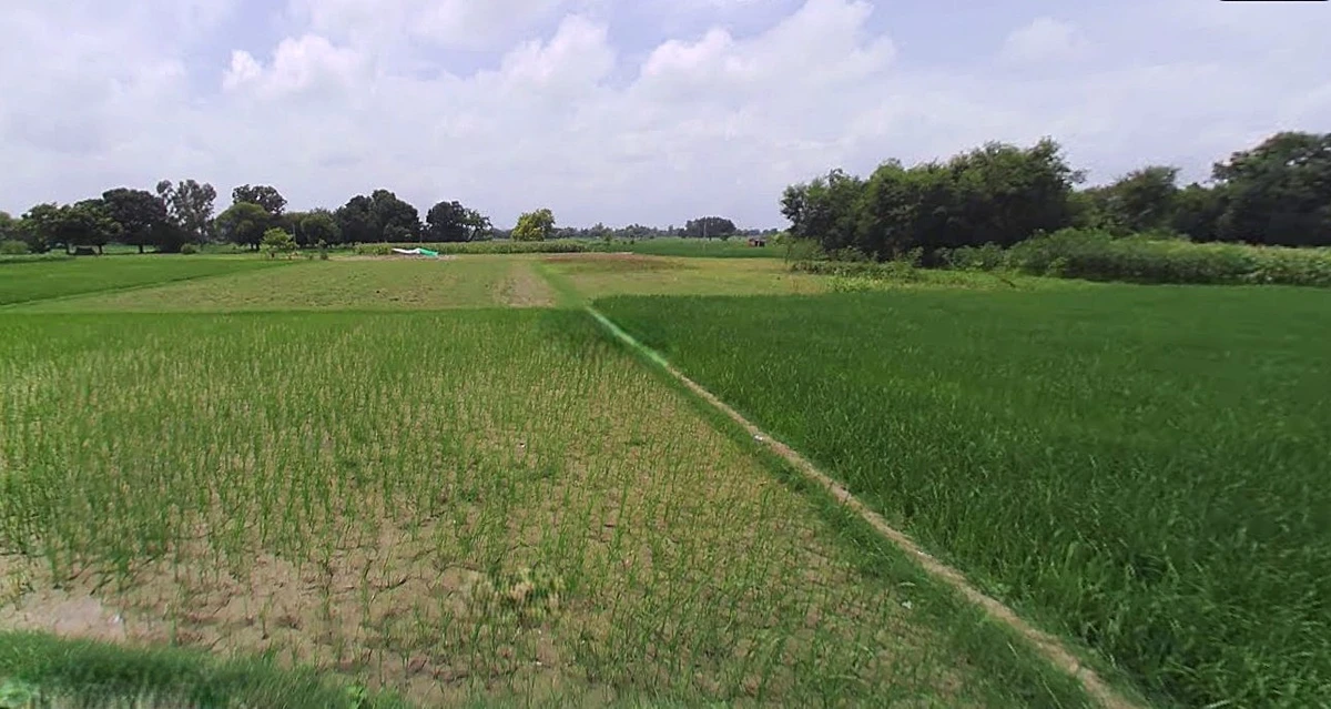 Jewar, Uttar Pradesh 203135, India