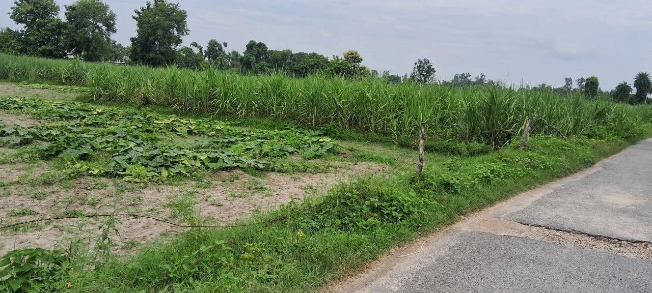 P7V5+JH Sita Rampur, Ayodhya, Uttar Pradesh, India