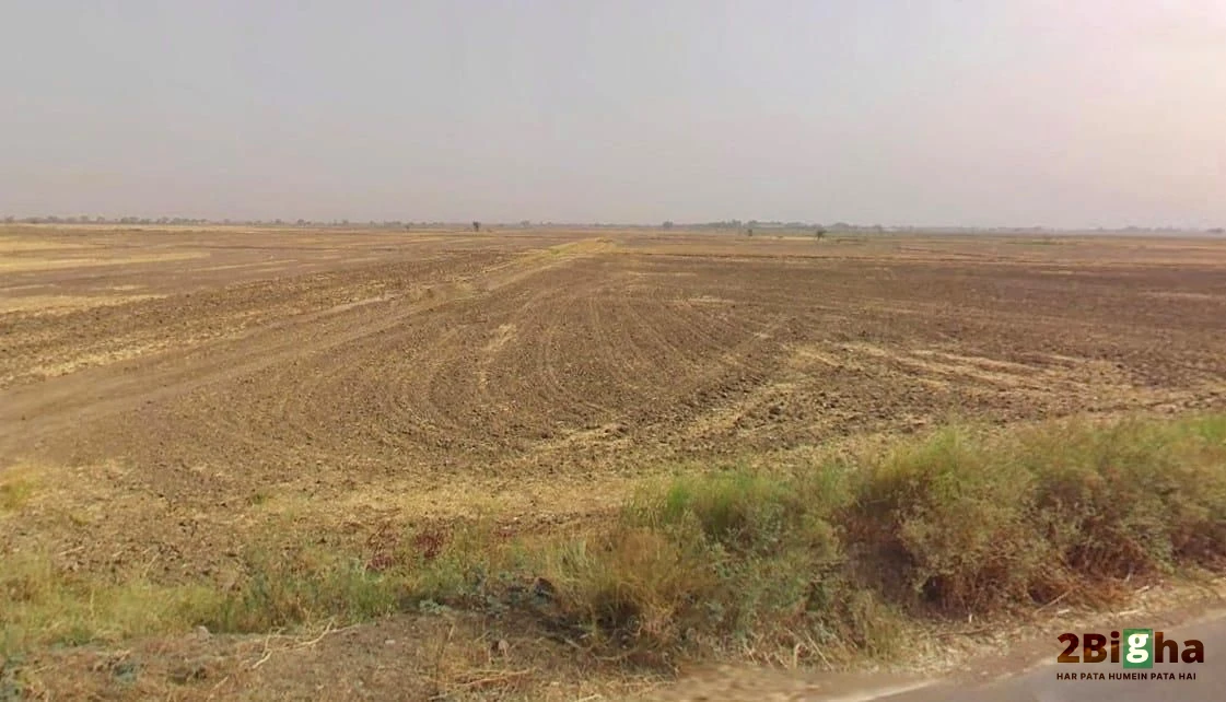 Khatauli, Uttar Pradesh 251201, India