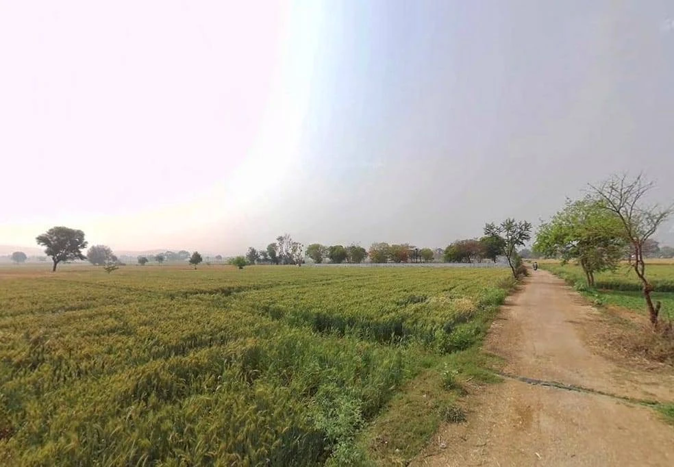 Moosa Khera, Rajasthan 301405, India