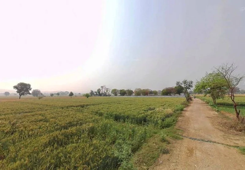 Moosa Khera, Rajasthan 301405, India preview 3