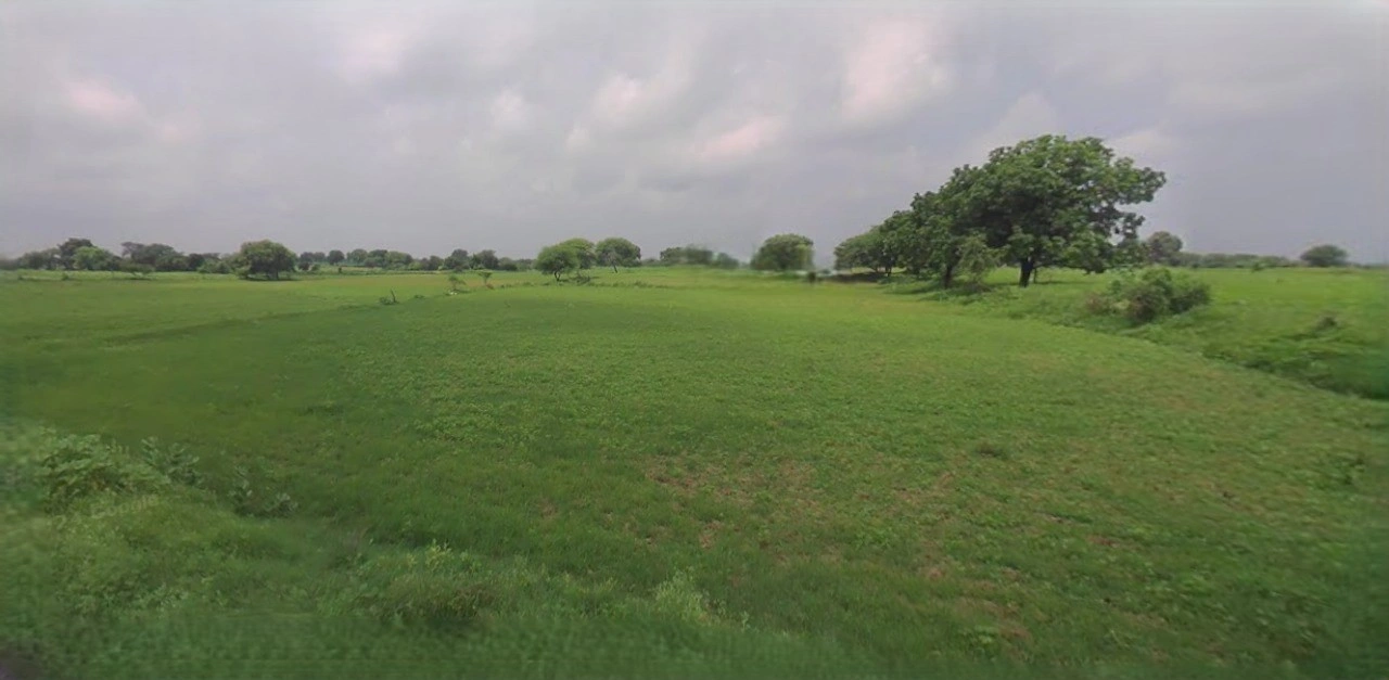 Jhajjar, Haryana 124103, India