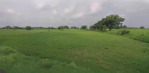 Jhajjar, Haryana 124103, India preview 3