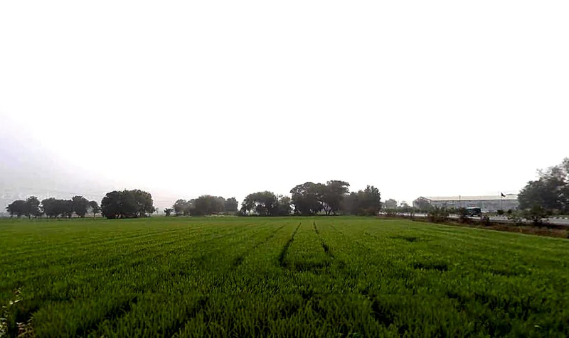 Bhaisana, Madhya Pradesh, India preview 2