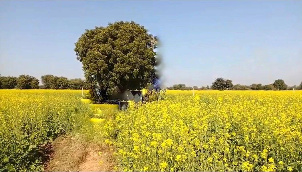 Dhol Khera, Rajasthan 321613, India