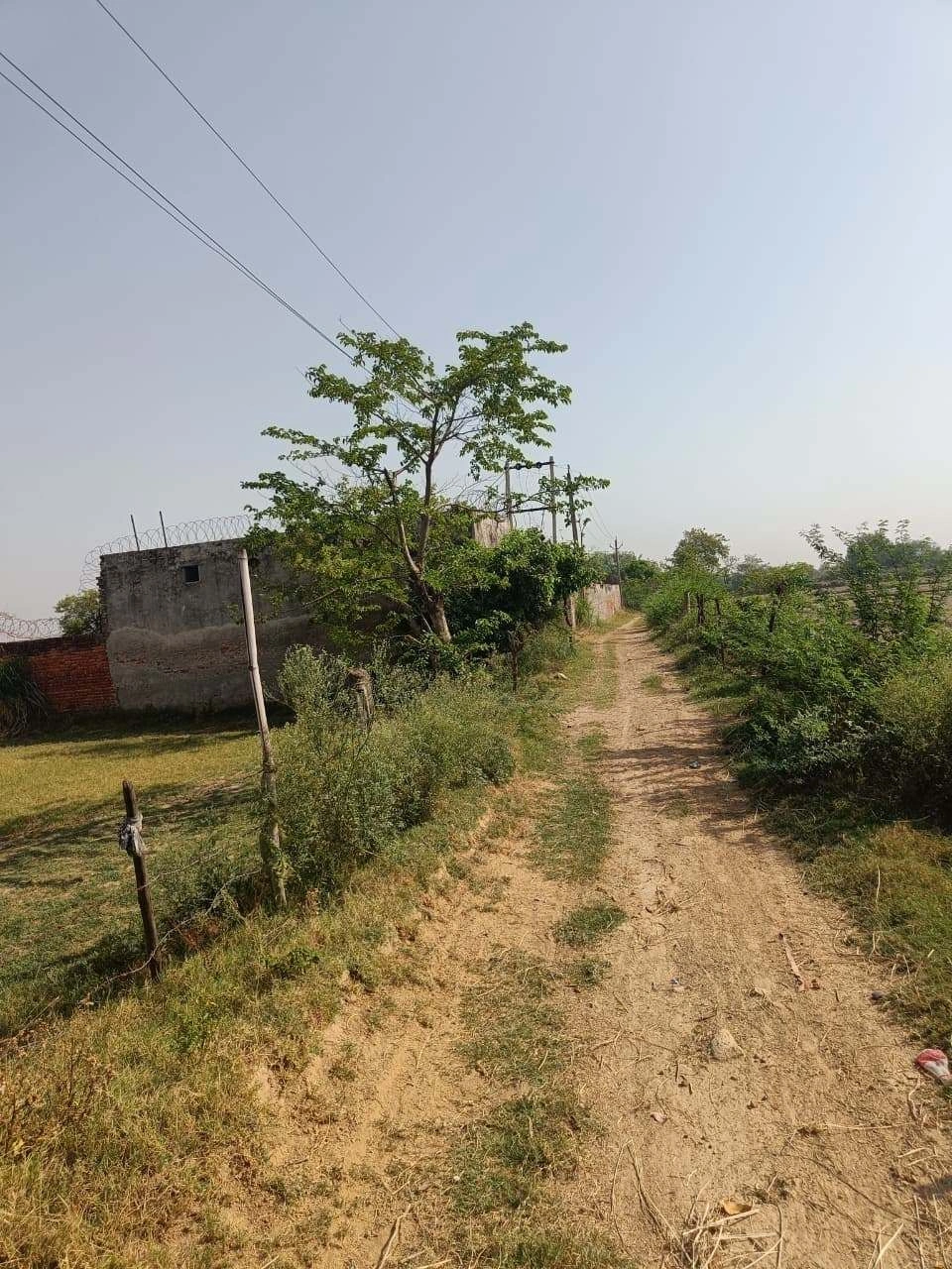 Ajhai Kalan, Uttar Pradesh 281406, India