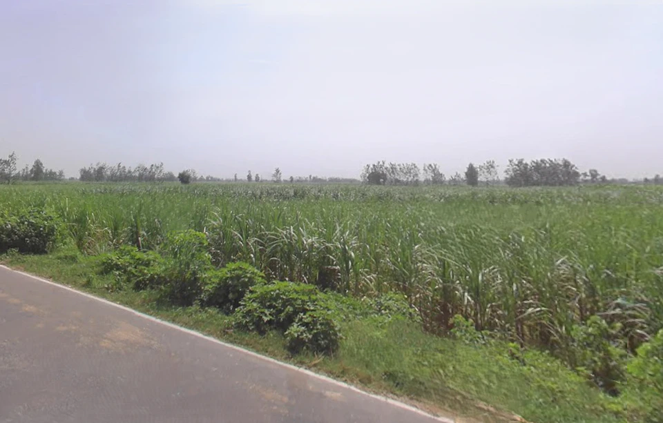 Palwada, Uttar Pradesh, India