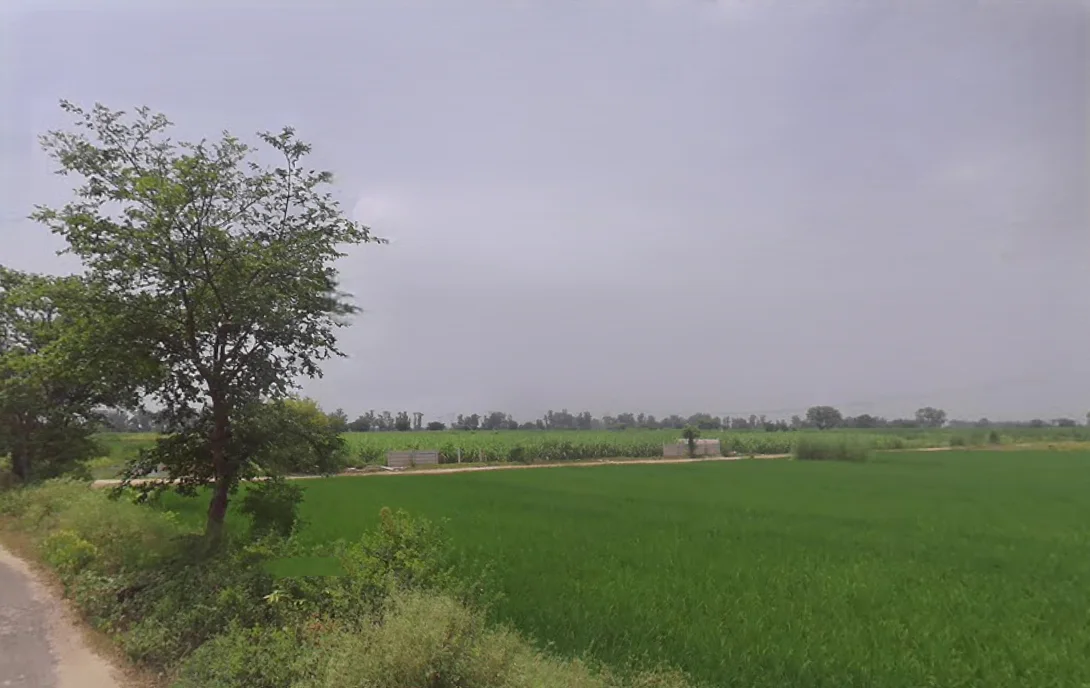 Khokiyaka, Haryana 121103, India preview 3