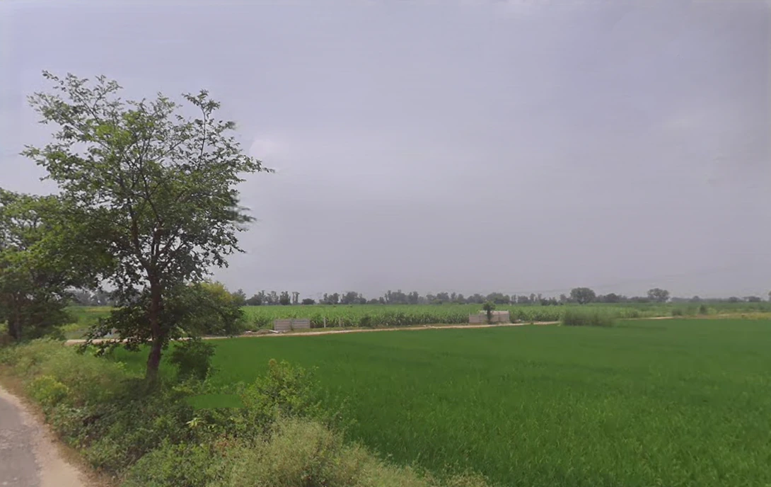 Khokiyaka, Haryana 121103, India