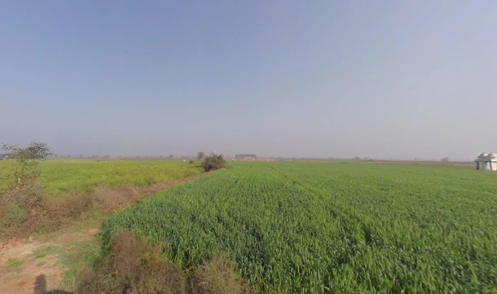 Kaimalgarh, Haryana, India