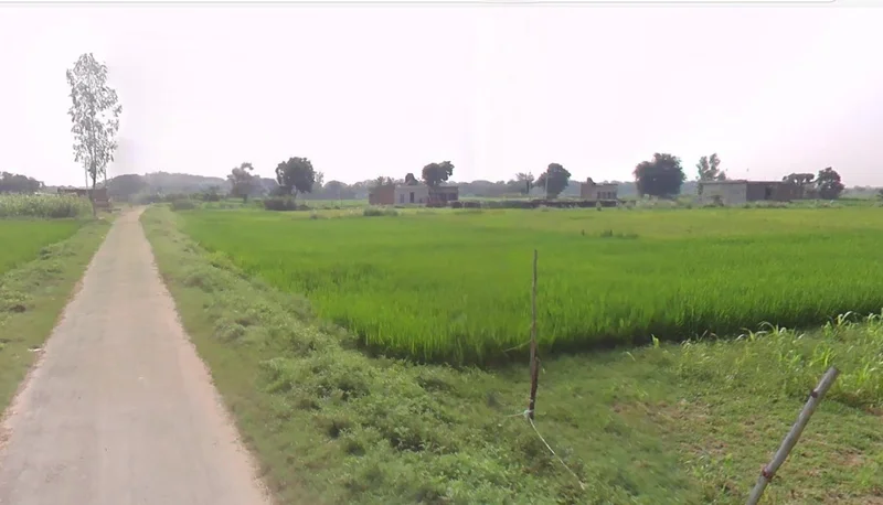 Tuiyapani, Madhya Pradesh, India preview 3