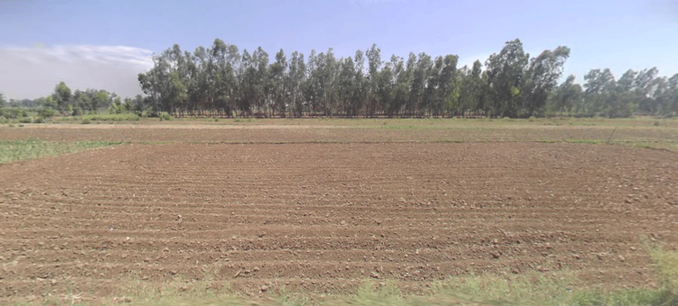 Powayan, Uttar Pradesh 242401, India