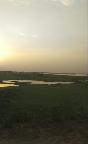 JXPM+4H Beejana, Rajasthan, India