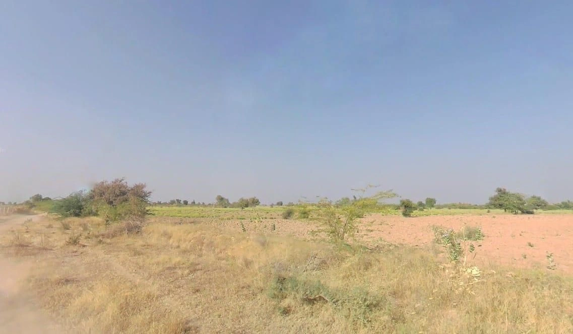 954, आम चोराया बान्डाई, बंदी, राजस्थान 306421, India