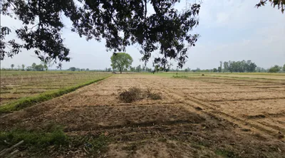 77PV+88 Kantoli, Rajasthan, India preview 2