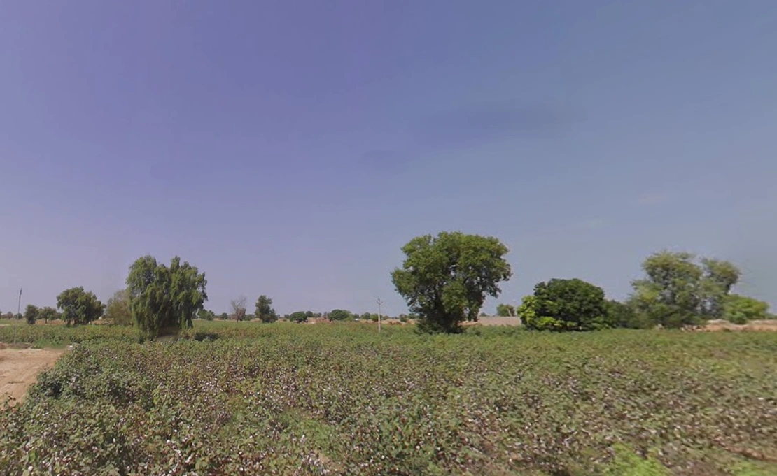 Ellenabad, Sirsa, Haryana 125055, India