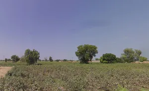 Ellenabad, Sirsa, Haryana 125055, India preview 2
