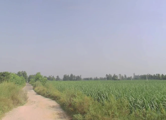 Nahali, Uttar Pradesh 250342, India