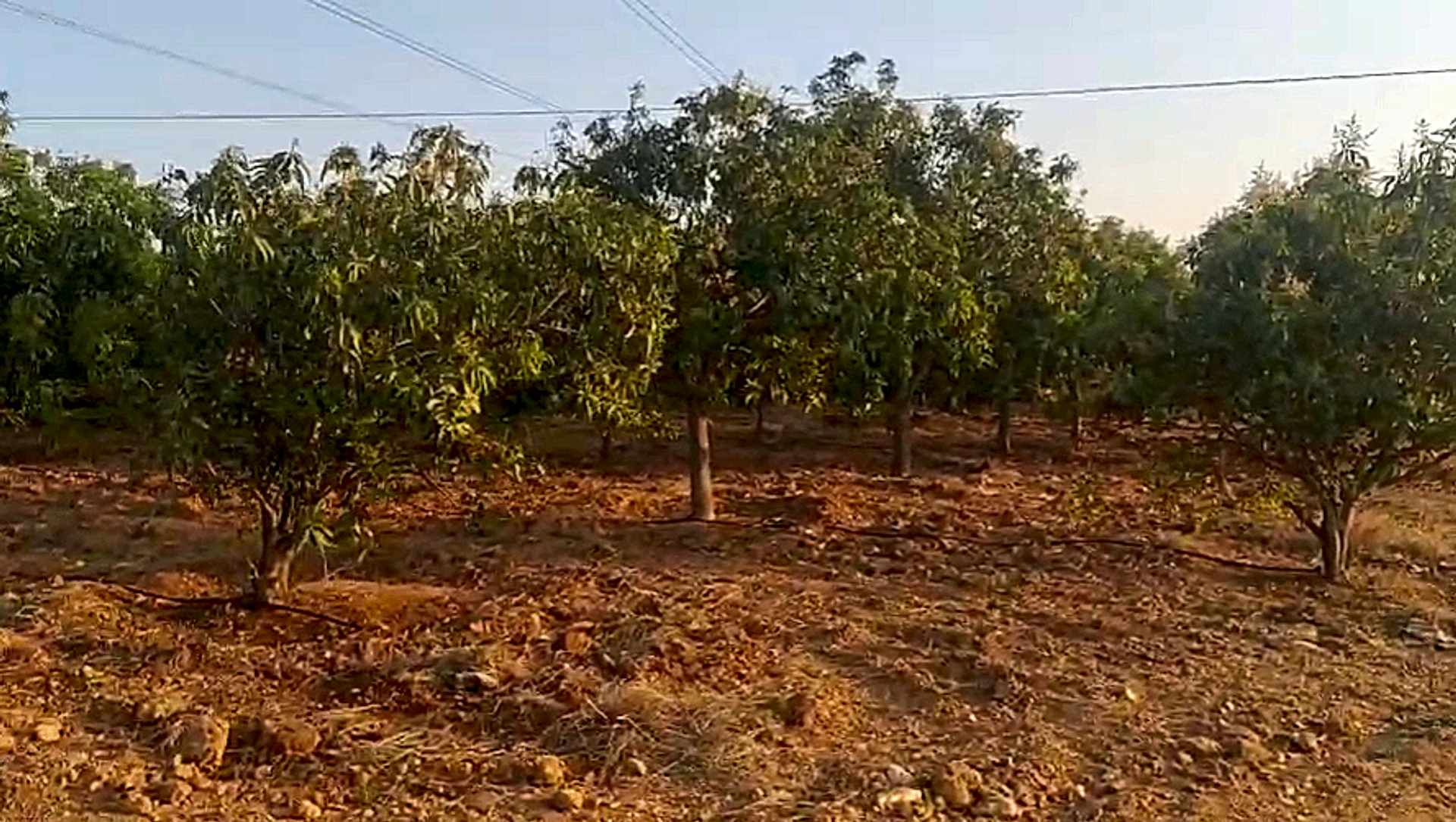 4GQ9+VX Kogira, Andhra Pradesh, India