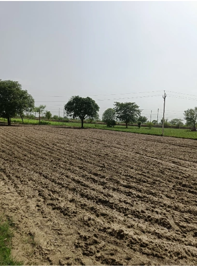 Moranwali, Faridkot, Punjab 151213, India